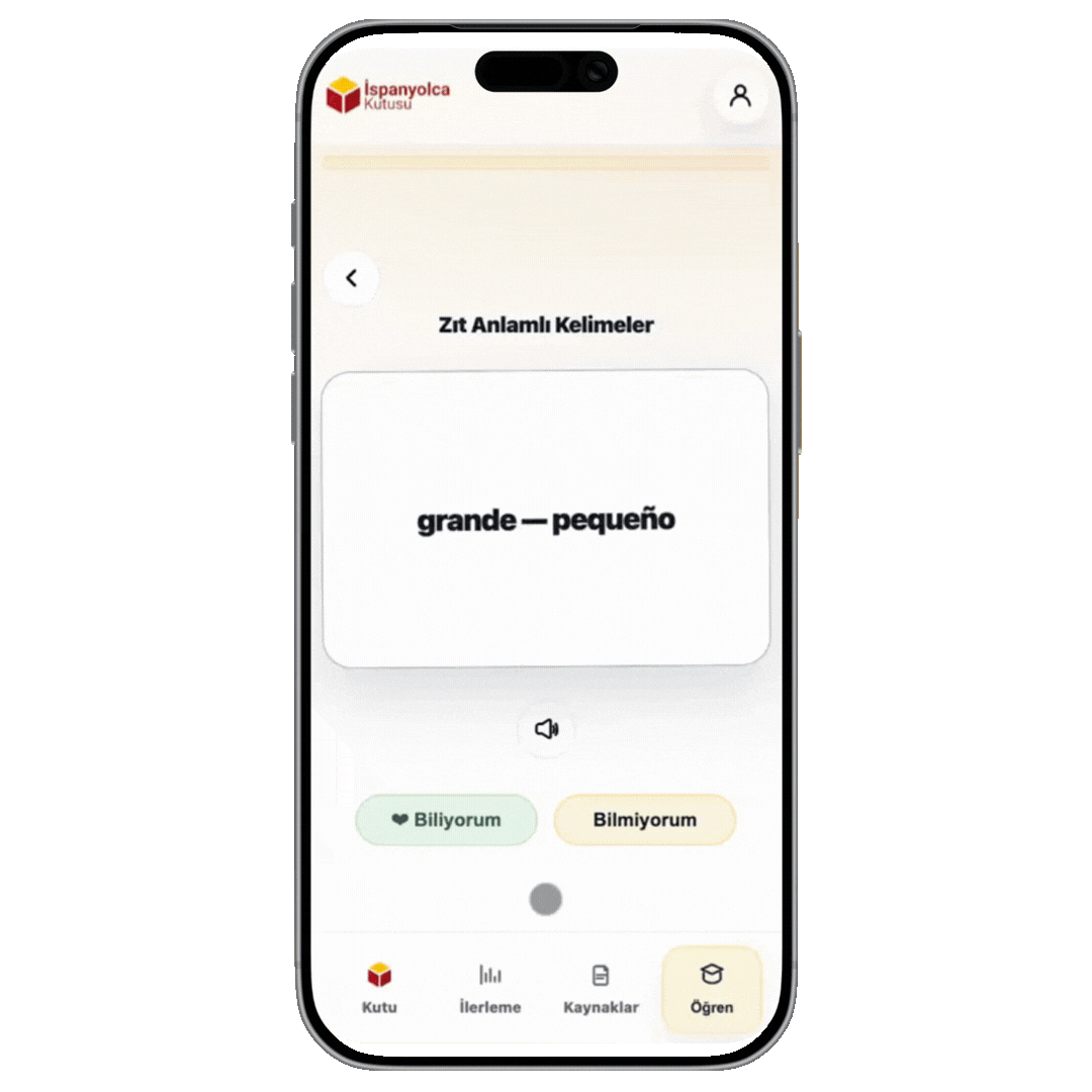 Kelime kartları ekranı (telefon görünümü)